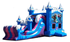 Frozen Combo Unit Frozen Combo Unit