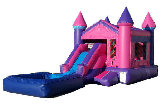 Pink Single Slide w/Pool Pink Single Slide w/Pool